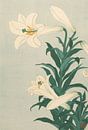 Lilien von Ohara Koson von Gave Meesters Miniaturansicht