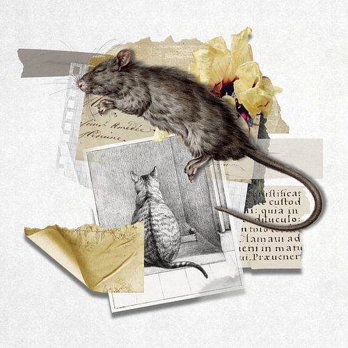 Hunter and the Hunted