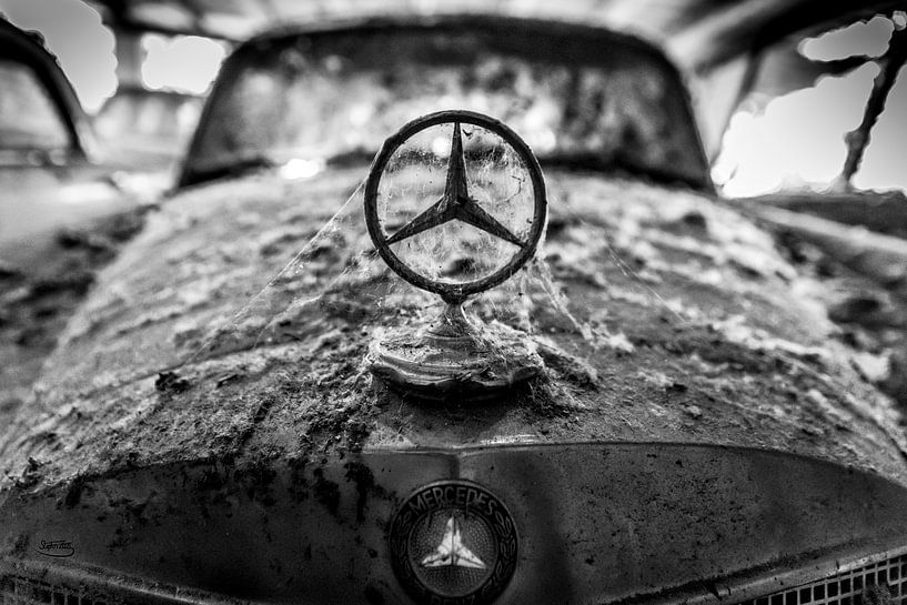 Oldtimer - Mercedes von Stephan Zaun