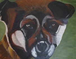 Cora