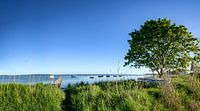 Fischerhafen Groß Stresow, Nähe Putbus auf Rügen von GH Foto & Artdesign Miniaturansicht