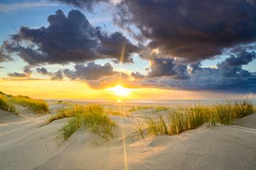 Coucher de soleil sur la plage de Texel avec des dunes de sable au premier plan