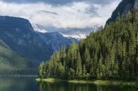 Gosausee in Upper Austria, Austria by Melissa Peltenburg thumbnail