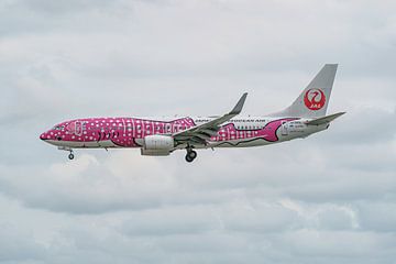 Boeing 737 de Japan Transocean Air avec décoration de requins-baleines. sur Jaap van den Berg