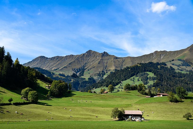 Grüne Oase der Ruhe in den Schweizer Alpen von Eefje's Images