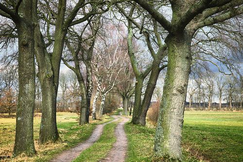 Empese en Tondense heide