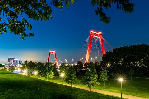 De Willemsbrug in Rotterdam in de avond