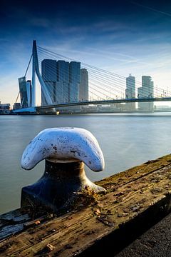 Die Skyline von Rotterdam entlang der Maas mit der charakteristischen Erasmusbrücke und der modernen von gaps photography