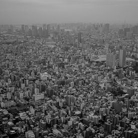 Bird's-eye perspective on Tokyo, Japan von Frank den Hond