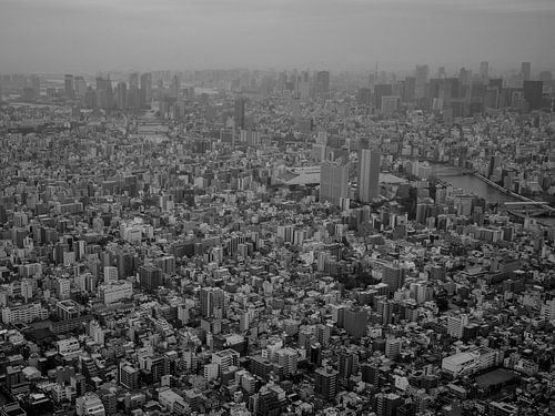 Vogelvluchtperspectief op Tokyo, Japan