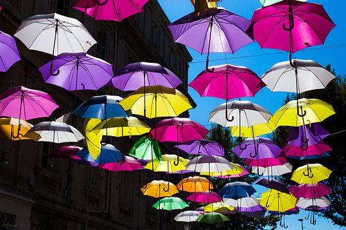 Kleurrijke paraplu's in de Provence