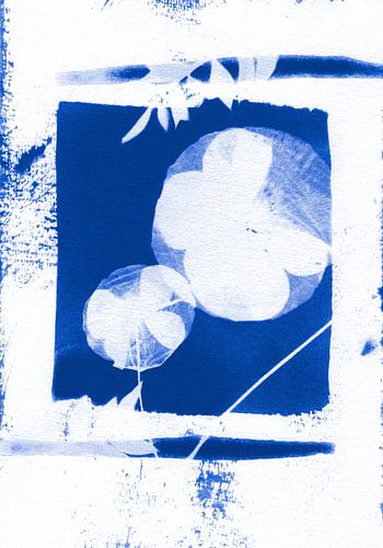 Abstracte Blauwe Klaproos van Lies Praet