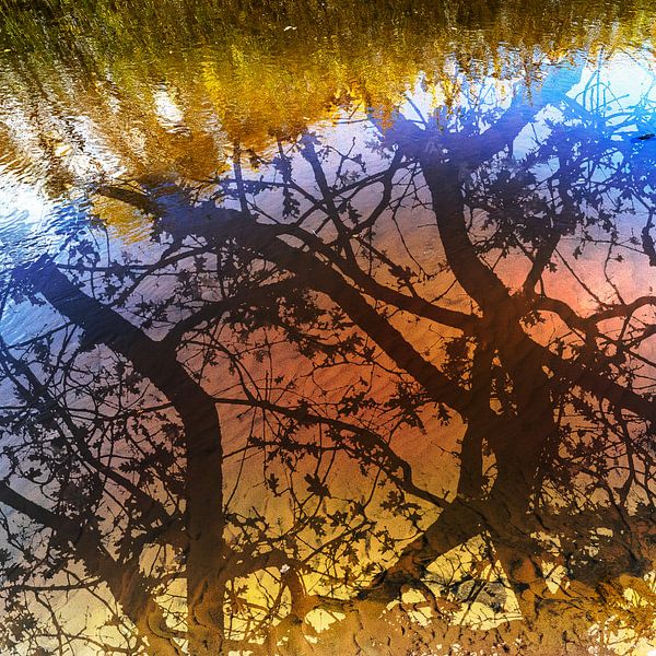 Herfstspiegeling van Patty Elferink