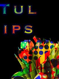Tulpen
