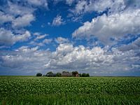 Aardappelveld met boerderij