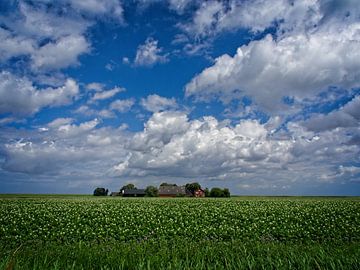 Champ de pommes de terre avec ferme sur Theo Felten