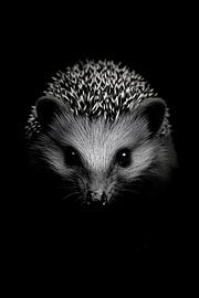 Igel von Poster Art Shop