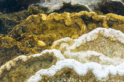 Vulkanische rotsstructuren Yellowstone