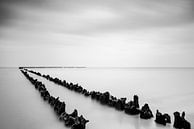 Palen in het water van het IJsselmeer in zwart wit van Sjoerd van der Wal Fotografie thumbnail