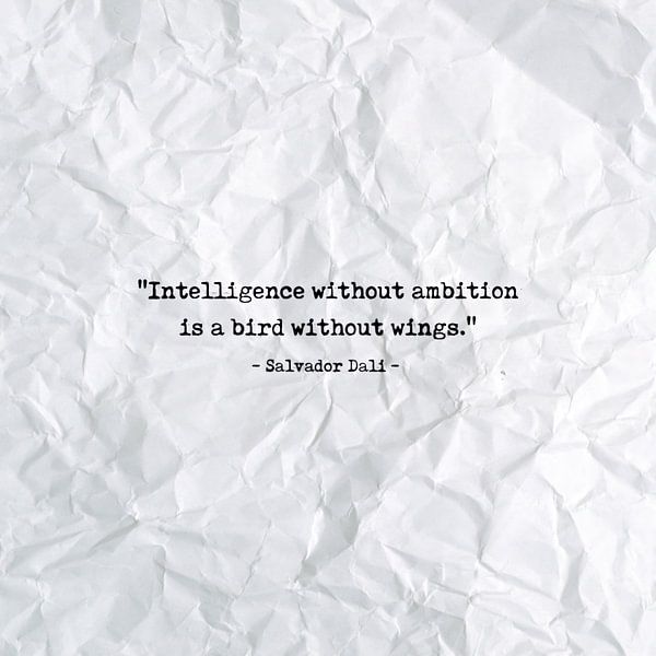 Intelligence without ambition is a bird without wings von Maarten Knops