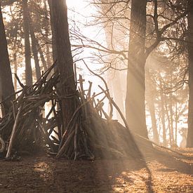 Cabane naturelle dans la brume du lever du soleil sur Mark Zanderink