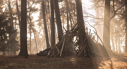 Cabane naturelle dans la brume du lever du soleil sur Mark Zanderink