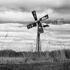 Rietkraag in de Weerribben met poldermolen van Dirk Huckriede