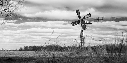 Rietkraag in de Weerribben met poldermolen van Dirk Huckriede