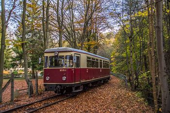 HSB VT187-011 Alexisbad