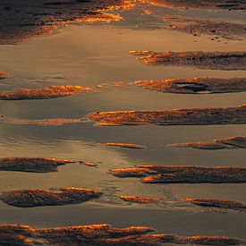 Shining Beach van Michael Schulz-Dostal