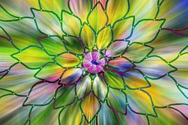 Flower pattern in bright rainbow colours