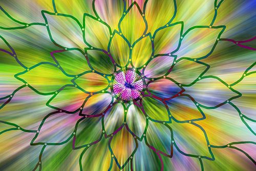 Flower pattern in bright rainbow colours by Lisette Rijkers