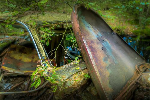 Ake's autokerkhof Kyrkö Mosse-04