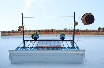 Moderne foto van een balkon met bloempotten van onderen gezien. van Edith van Aken