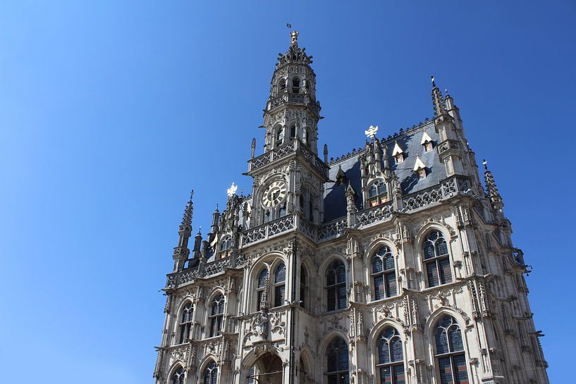 Oudenaarde Gothic Town Hall Belgium by Imladris Images