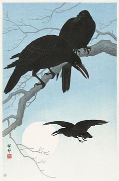Two Crows on a Branch (one in the sky) van Marja van den Hurk