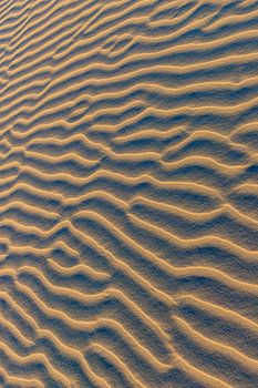 Schiermonnikoog - Sand patterns in the golden evening sun