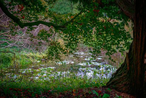 Rustplek om goed na te denken