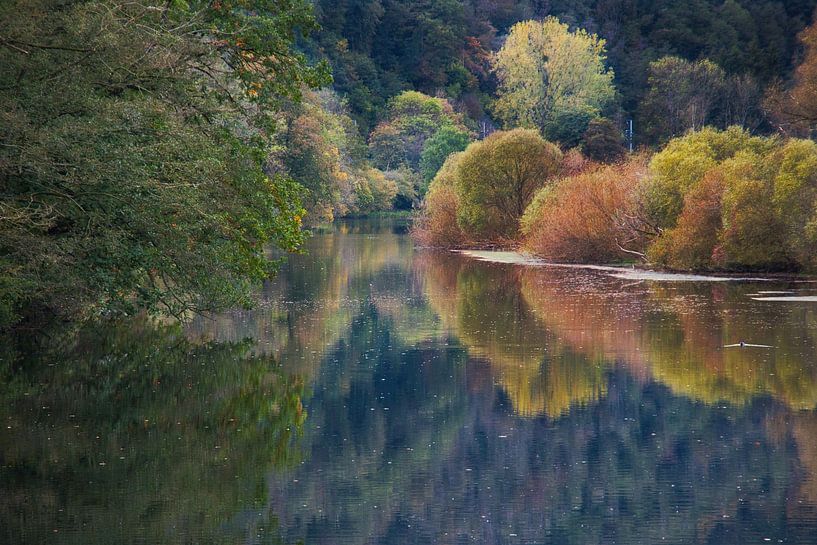 Schöne Reflexionen über den Teich von Rudi Everaert