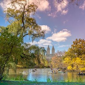 Central Park, New York van Maarten Egas Reparaz