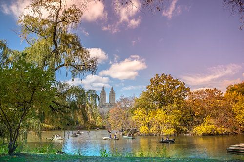 Central Park, New York van Maarten Egas Reparaz