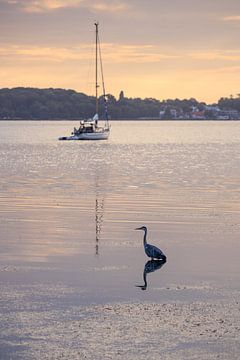 Opposites in the morning light by Severin Frank Fotografie