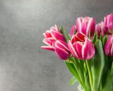 pink tulips on dark background von ChrisWillemsen Miniaturansicht