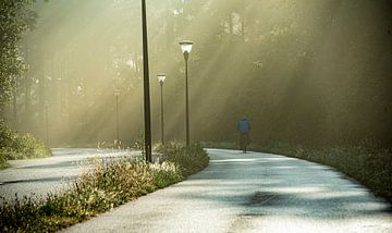 Vroege fietser van Douwe Beckmann