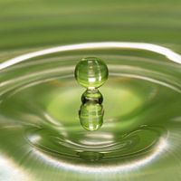 Als twee druppels water