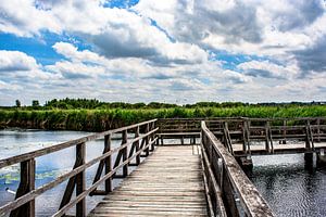 Bad Buchau : Der Federsee Steg