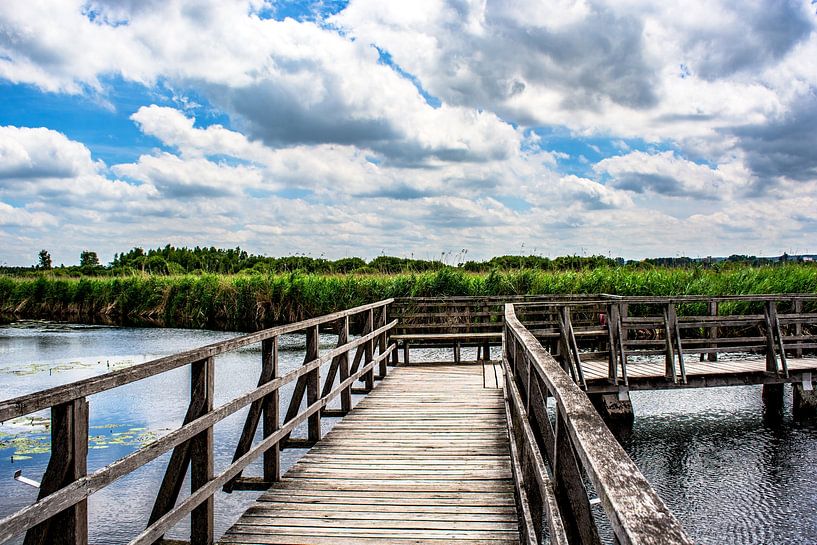 Bad Buchau : Der Federsee Steg von Photoart-Naegele