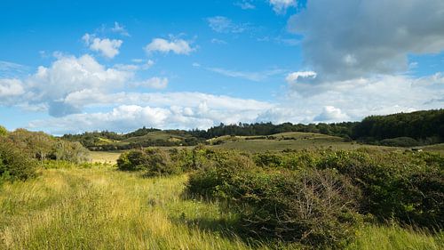 Landscape in Denmark