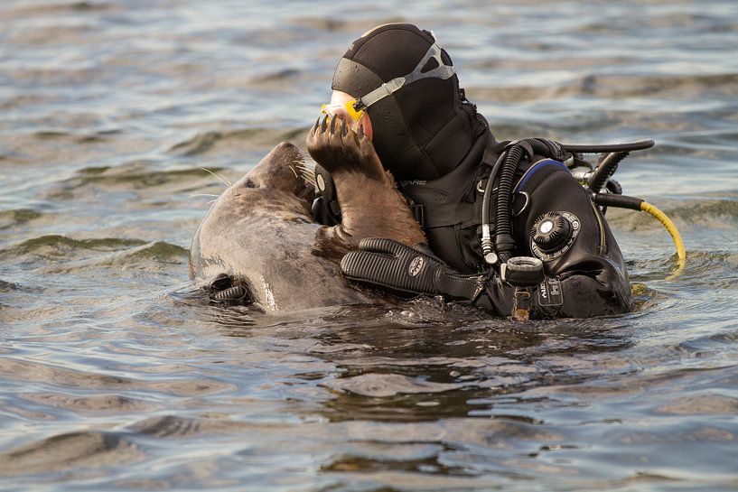 Liefde tussen mens en dier by Abra van Vossen