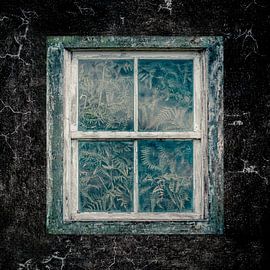 window to the outside by Alexander Dorn